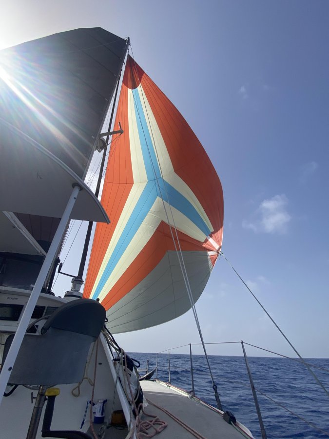 🌊TRANSAT 🌊