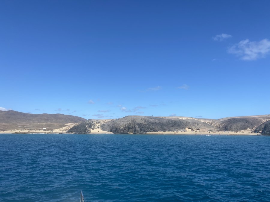 Papagayo 🦜